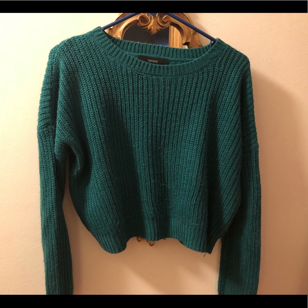 Forever 21 Sweater (could be considered cropped)